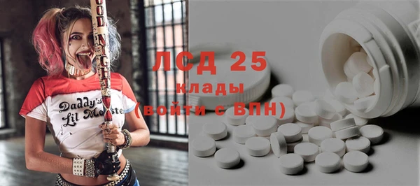 PSILOCYBIN Ладушкин
