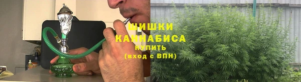 PSILOCYBIN Ладушкин