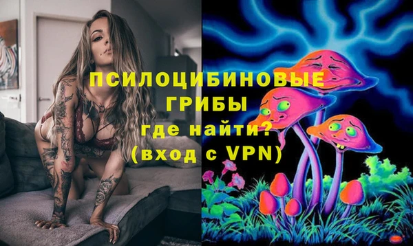 PSILOCYBIN Ладушкин