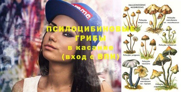 первитин Лабытнанги