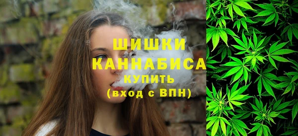 PSILOCYBIN Ладушкин
