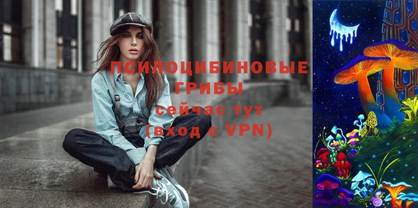 мдма Лагань
