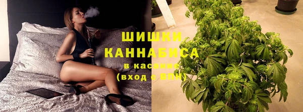 PSILOCYBIN Ладушкин