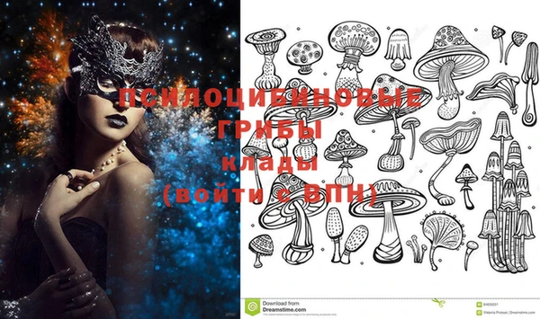 первитин Лабытнанги