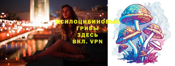 мдма Лагань